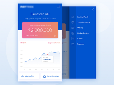 Financial Dashboard app business chart dashboard finance finance app financial finances graph interaction mobile money report design reporting reports ui ux