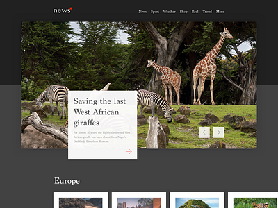 Nature Blog animal blog brown landing page nature news ui uidesign ux uxdesign