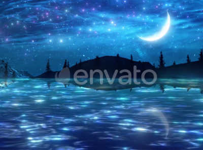 Starry Sky Over Ocean Landscape Animation