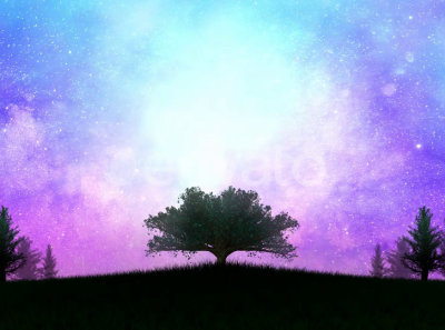 Landscape With Beautiful Sky Animation animation beautiful buy envato forest galaxy grass illustration landscape motion graphics nature night scenery sky starry starry night starry sky stars trees visual effects