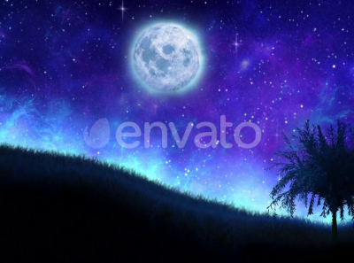 Landscape At Night Animation animation arurora beautiful buy envato glow illustration landscape moon moonlight motion graphics scenery sky starry stars tree valley