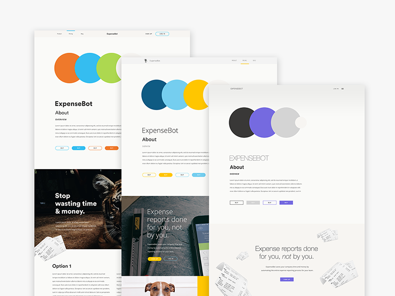 ExpenseBot Brand Exploration style tiles typography colors branding