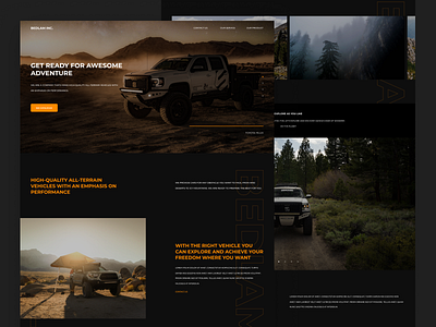 Bedlam Inc. branding car dealer graphic design illustration offroad typography ui ux vechicle website