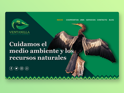 La Ventanilla. Web Design design enviroment sketch ui ux uxui web webdesign