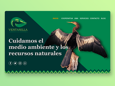 La Ventanilla. Web Design