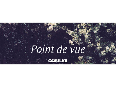 Gavulka / photographer claim communication design identity logotype photographer pointdevue