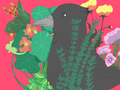 Kid Crow art autodesksketchbook crow design floral illustration
