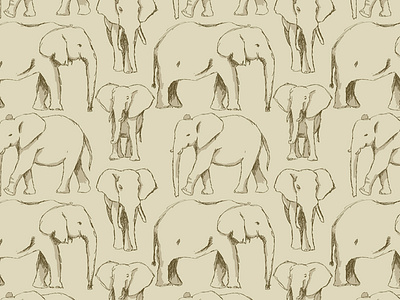Sketch Book Elephants animals desert digital art digital illustration drawing elephant elephants illustration pattern pattern design repeat pattern rough sketch sketch book sketchy tan trunk tusk vector vector art