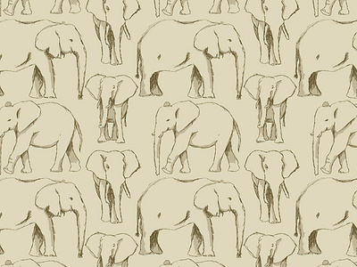 Sketch Book Elephants