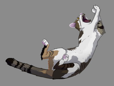 Kavie animal cat character design digital art illustration original character welfinstudio welfintera