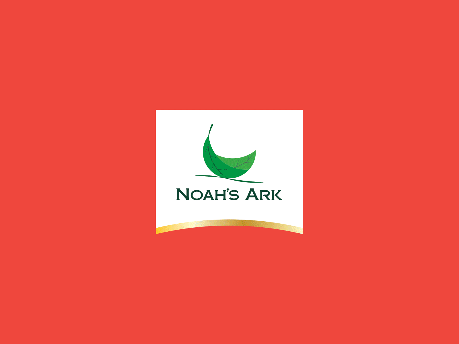 Noah's Ark Logo art branding design graphic design logo packaging parviz babayev spices vector