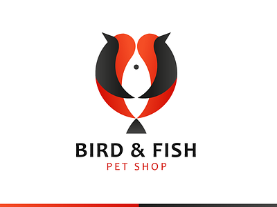 Bird & Fish animal bird fish negative pet shop space