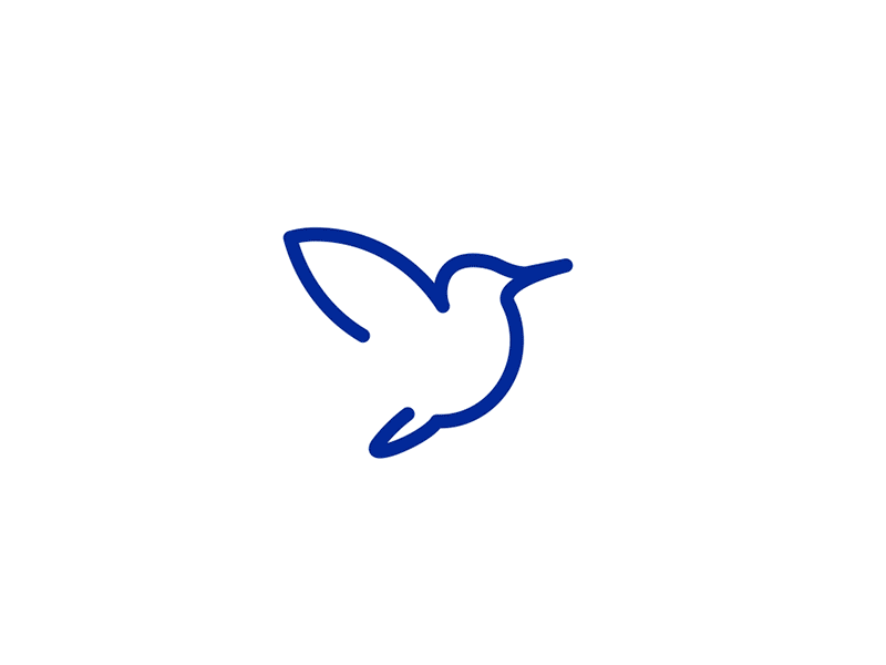 Kingfisher bird blue branding green illustartor kingfisher lines logo motion one line simple design white