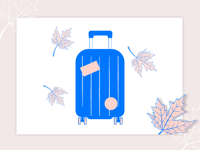 Traveling around the world shadows leaf maple travel suitcase pink blue lines illustrator illustration