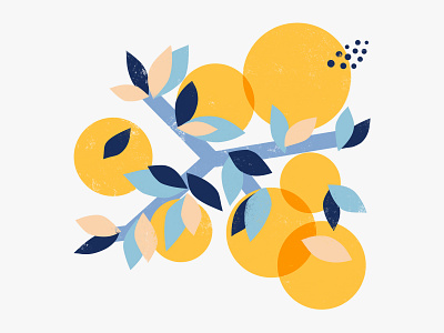 Seasonal Citrus abstract blue citrus fruits illustration nature art oranges procreate shapes yellow