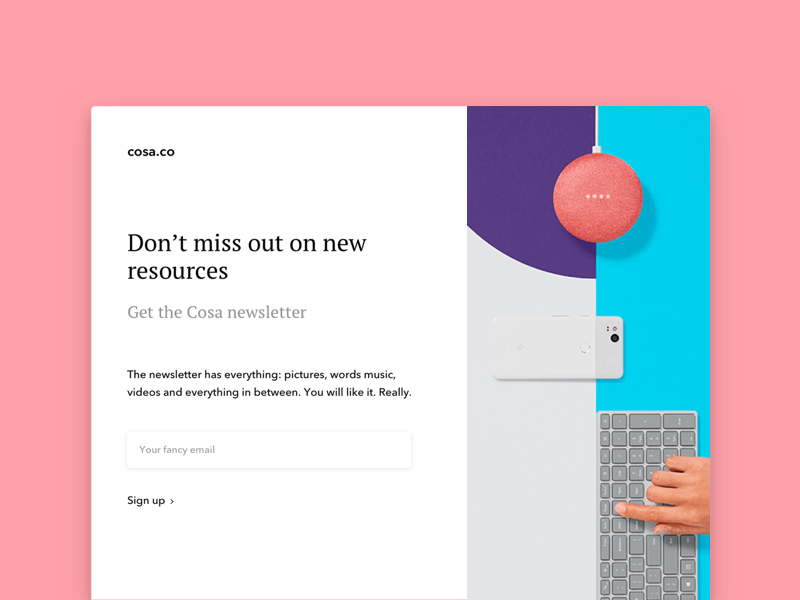 Newsletter Signup CTA Micro-interaction principle principle for mac sign up form newsletter minimal noussis 2d animation microinteraction