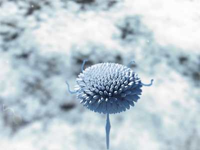 Crystal Flower 3d animation motion graphics