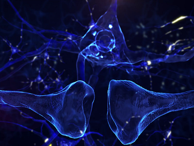 Synapse 3d animation motion graphics