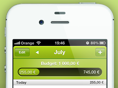 Primabanka iPhone App app dark green header section iphone progressbar ui