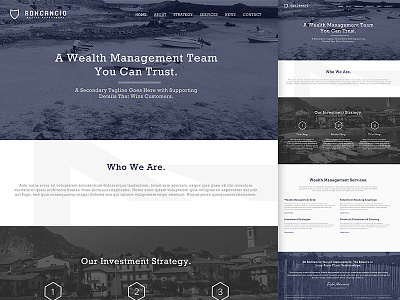 Web Design / Wealth Management Firm Website gundog home page landing page ui web web design website