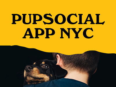 Pupsocial App — Platform for dog owners