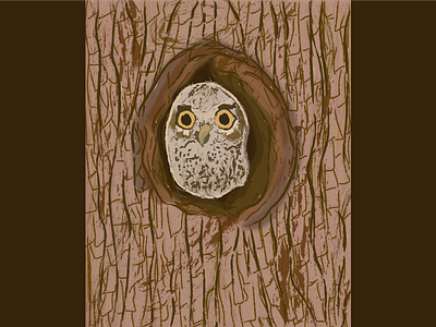 Cam 'OWL' flage much !!! (Part-1) adobe illustrator artwork bird bird illustration creative creative design creativity design design art digital art digital illustration digital painting digitalart digitalartist illustration imagination nature art nature illustration owl illustration vector illustration