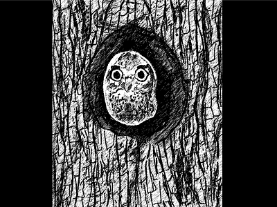 Cam 'OWL' flage much !!! (Part-2) adobe illustrator artwork bird illustration creative creative design design design art digital illustration digital painting digitalart digitalartist illustration illustration art imagination nature nature art nature illustration owl owl illustration vector illustration