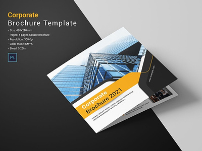 Square Bifold Business Brochure