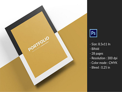 Multipurpose Portfolio Brochure