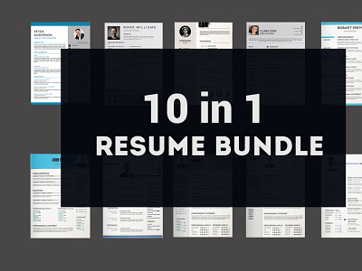 10 Clean Resume Template Bundle