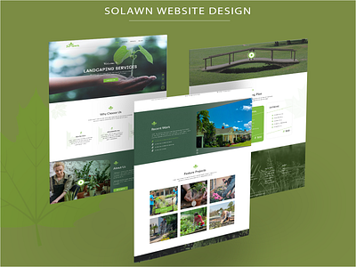 solawn website clean garden landscape solawn ui uidesign uiux website website design