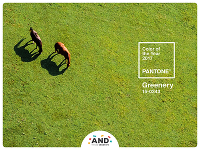 Pantone® Greenery 2017 color greenery pantone year