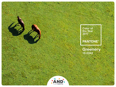 Pantone® Greenery