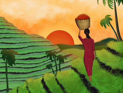 Rice fields and the sunset bali digitalart illustration procreate procreateart ricefields sunset
