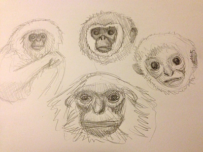 Exploratory Gibbon Sketching gibbon illustration pencil rough