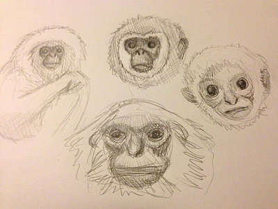 Exploratory Gibbon Sketching