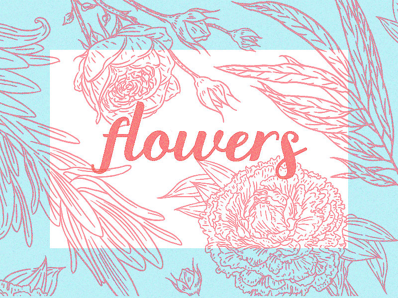 Flowers pattern botanical design draw flower icon illustration pattern peony plant sketch