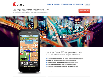 Sygic Fleet button desktop ecommerce grid process search sign in ui user experience user interface ux