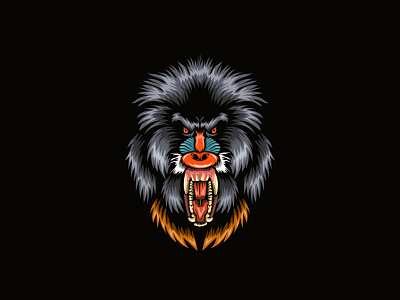 Angry Baboon illustration