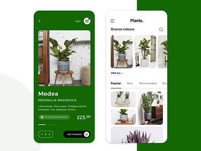 eCommerce Mobile App for Houseplants branding design design process design technique graphic design illustration inspiration mobile mobile app user experience visual design