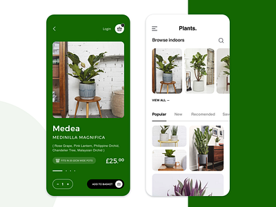 eCommerce Mobile App for Houseplants