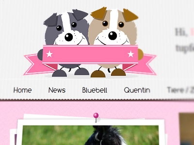 Border Collies dogs logo website