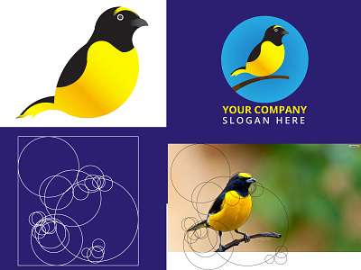 Bird Logo ( Golden Ratio) branding design graphic design icon illustration illustrator logo minimal ui ux vector