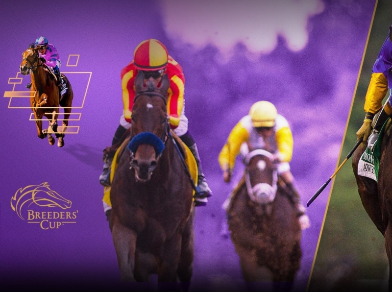 LiveStream>>Breeders Cup 2020 Live Stream Free Horse Racing by xoxo on