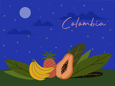 Night Colombia Illustration banana design graphic design illustration moon night papaya pineapple stars ui vector