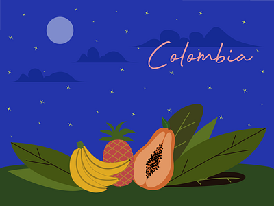 Night Colombia Illustration