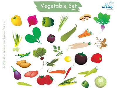 Vegetable Icon Set
