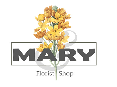 Flower Shop Logo branding design illustration logo logo design logodesign vector