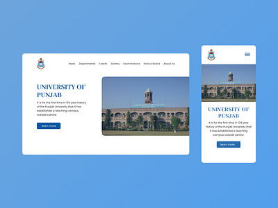 Website Design for a University.