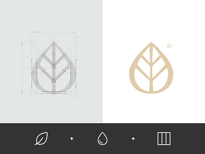 Elegance France - Logo drop geometry grid identity leaf logo mark monogram overlay process sign sketch tree